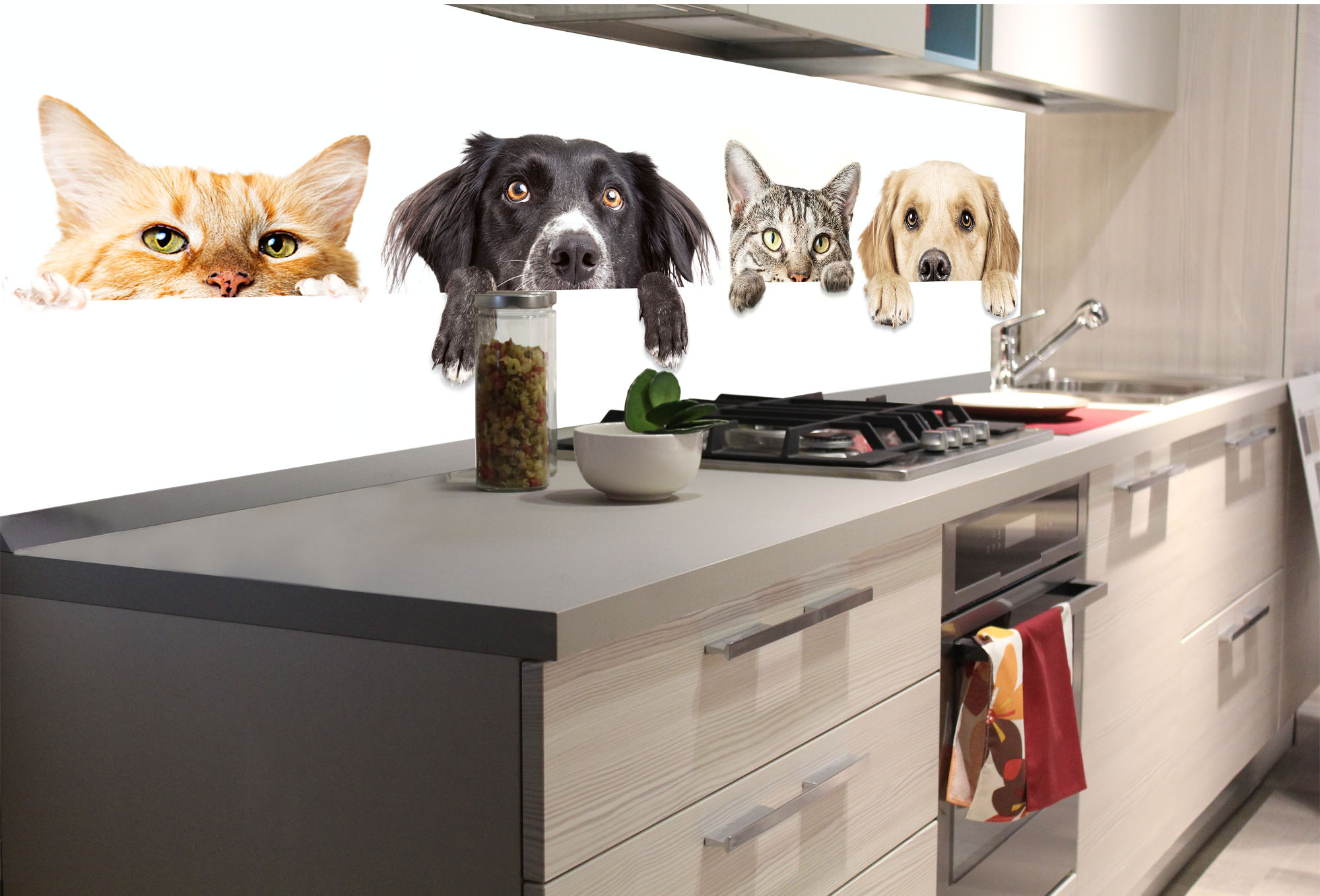 Fototapeta do kuchyne KI-180-175 Mačky a psy 60 x 180 cm