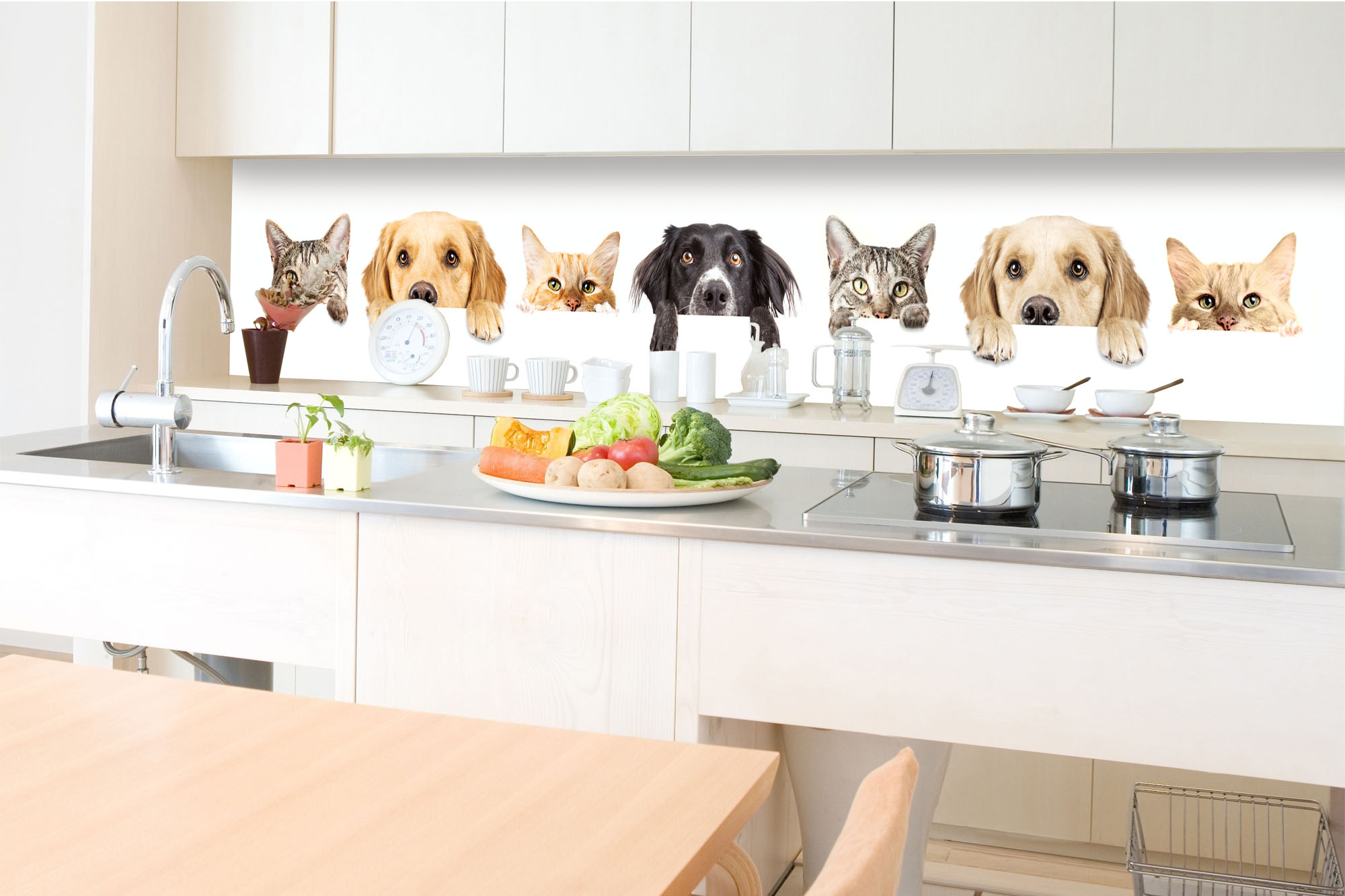 Fototapeta do kuchyne KI-350-175 Mačky a psy 60 x 350 cm