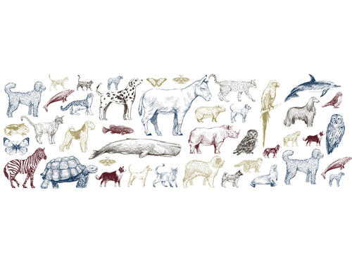 Samolepiace kuchynské zásteny s kolekciou kreslených farebných zvierat