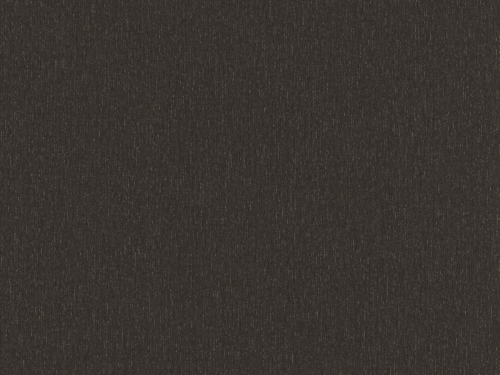 Moderná tapeta s vrytými čiarami imitujúcimi omietku v čiernej farbe so zlatým leskom, ER-602178