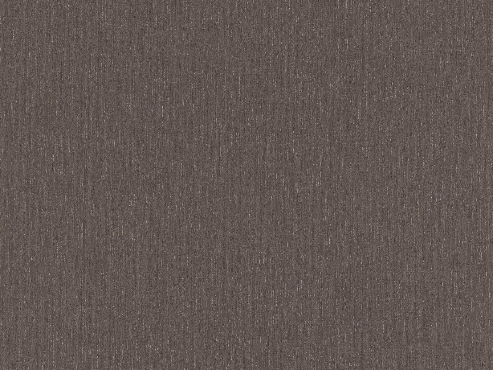 Moderná tapeta s vrytými čiarami imitujúcimi omietku v šedej farbe so zlatým leskom, ER-602182